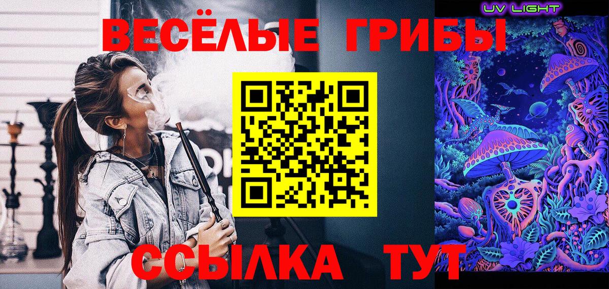Псилоцибиновые грибы мухоморы Северск