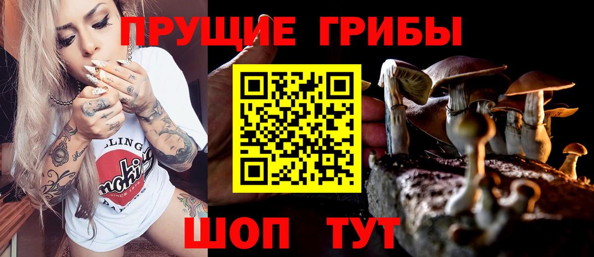 Северск  Псилоцибиновые грибы Cubensis  Галлюциногенные грибы Psilocybine cubensis  Вход с VPN 